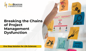 Project management team in pharmaceutical industry resolving challenges and improving delivery timelines