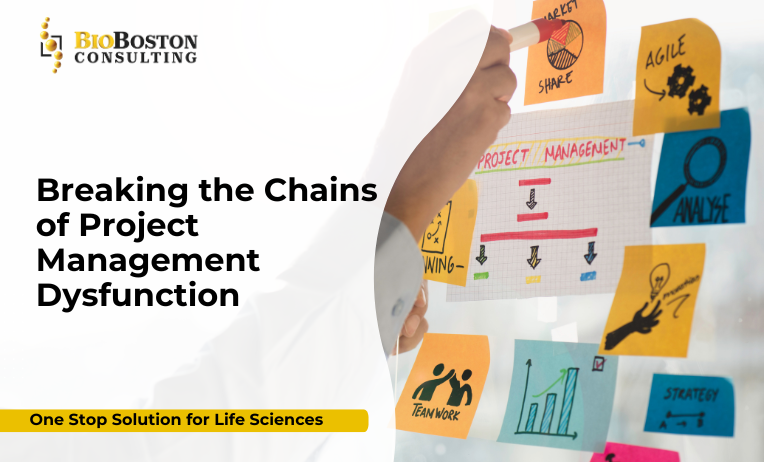 Project management team in pharmaceutical industry resolving challenges and improving delivery timelines