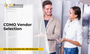 CDMO vendor qualification audit checklist” and “BioBoston Consulting overseeing CDMO compliance.