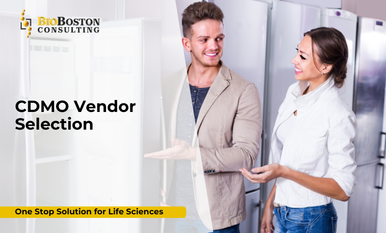 CDMO vendor qualification audit checklist” and “BioBoston Consulting overseeing CDMO compliance.