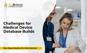 Key Components of a Medical Device Database Build