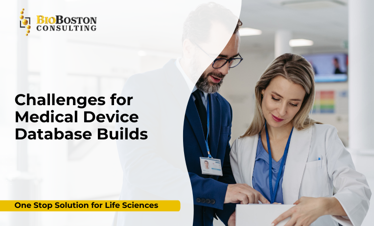 Key Components of a Medical Device Database Build