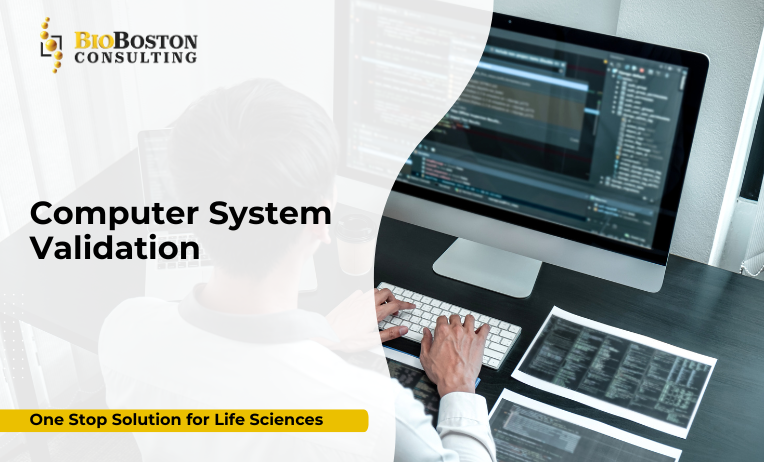 Computer System Validation (CSV) Services for Life Sciences: Ensuring Regulatory Compliance and Operational Excellence