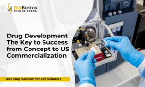 Strategic roadmap illustrating the US FDA drug development lifecycle