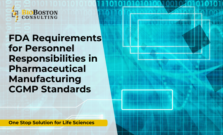 Understanding FDA 21 CFR Part 211 Subpart B: Personnel Responsibilities in Pharmaceutical Manufacturing