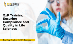 BioBoston consultant delivering GxP training to pharmaceutical team