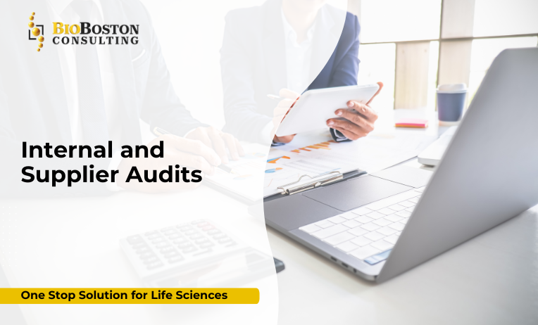 Internal and Supplier Audits: Strengthening Compliance, Quality, and Supply Chain Integrity in Life Sciences