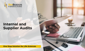 BioBoston consultant conducting a supplier audit at a biotech facility