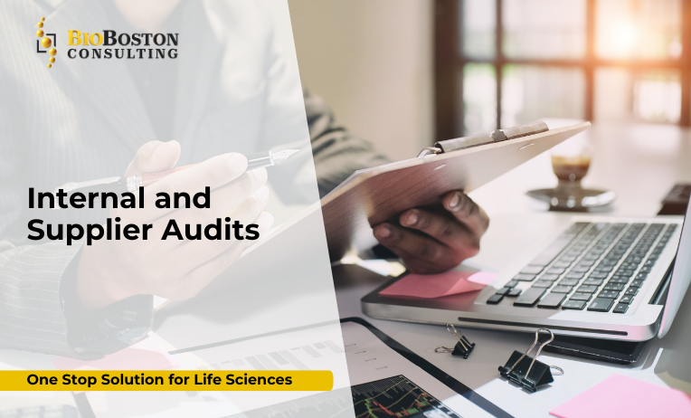 BioBoston consultant conducting a supplier audit at a biotech facility