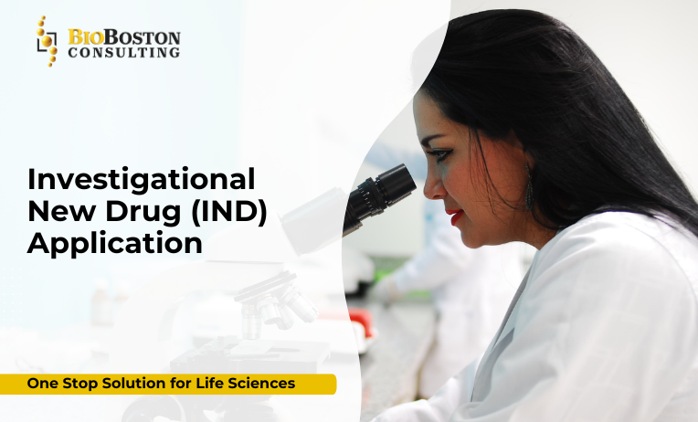 IND Application Services: Your Gateway to Clinical Trial Readiness in Life Sciences