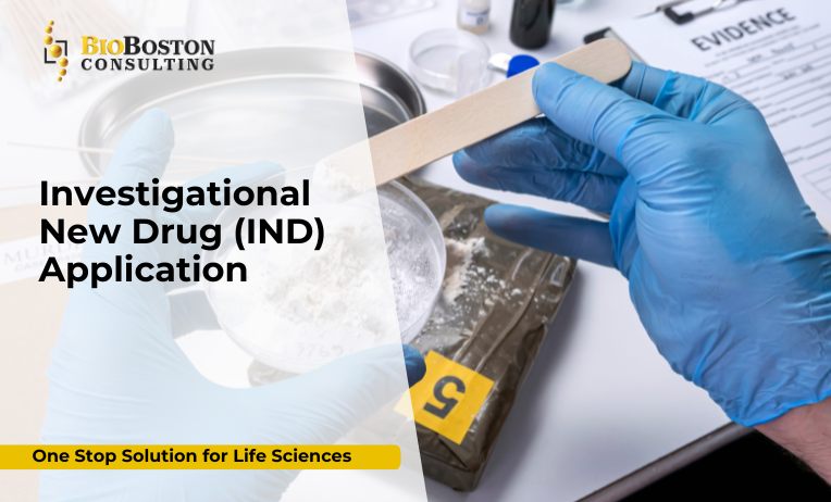 IND application process for FDA drug approval - BioBoston Consulting