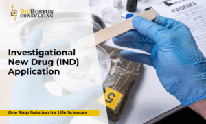 What is an Investigational New Drug (IND) Application?