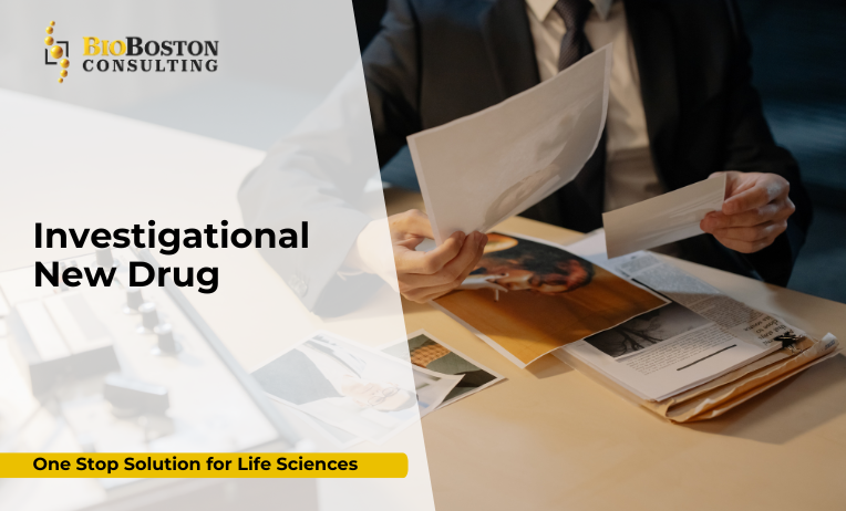 We help address **FDA Information Requests**, manage **clinical holds**, and support **protocol amendments**.