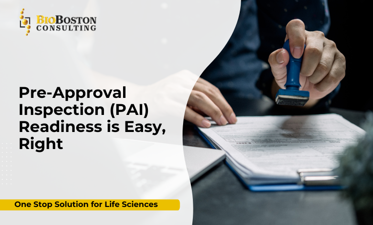 Pharmaceutical PAI readiness consulting and inspection support by BioBoston Consulting
