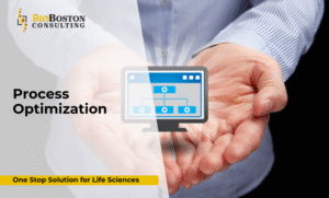Pharmaceutical process mapping by BioBoston Consulting