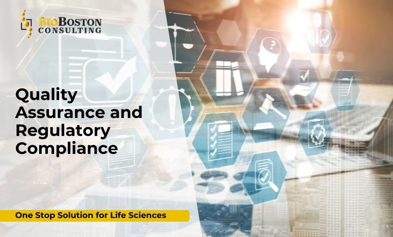 BioBoston QMS expert developing SOP for pharmaceutical company