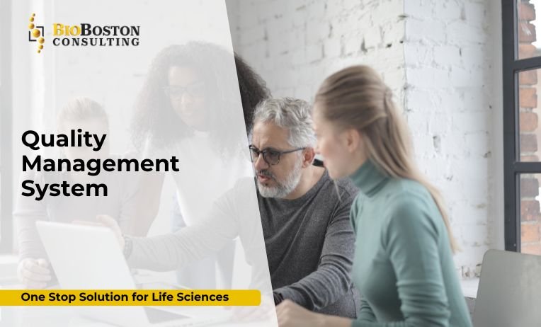 What Is a Quality Management System (QMS)?