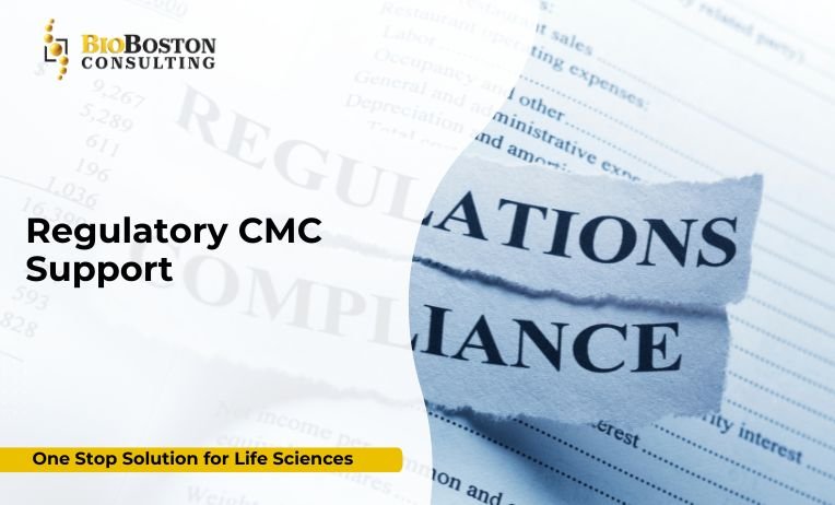 Regulatory CMC documentation review for biopharmaceutical product