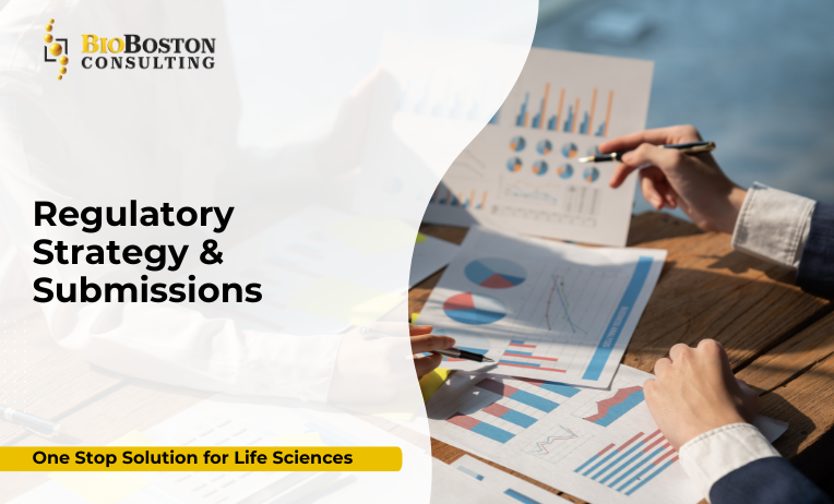 Regulatory Strategy & Submissions: Your Pathway to Market Approval