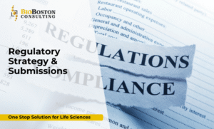 Regulatory Strategy & Submissions | BioBoston Consulting