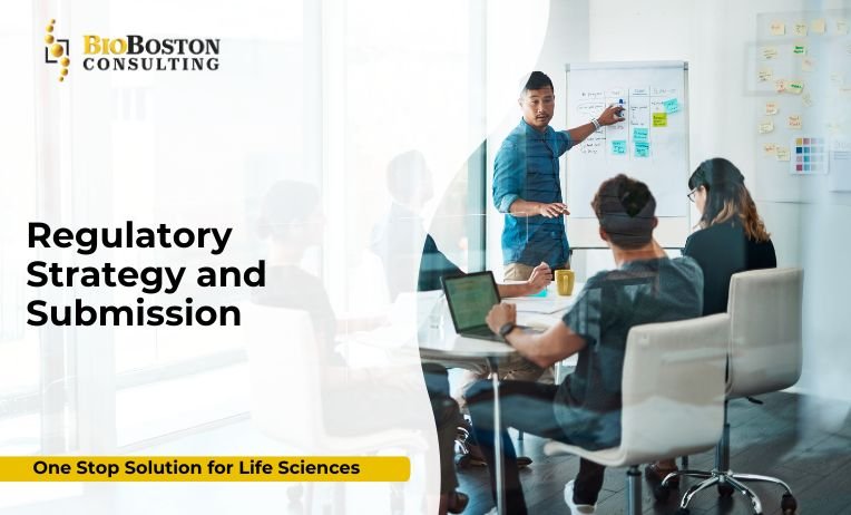 FDA submission support