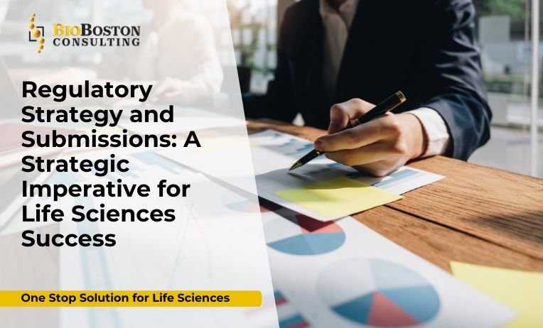 Regulatory experts preparing FDA and EMA submissions at BioBoston Consulting