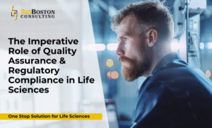 GMP-compliant pharmaceutical manufacturing process