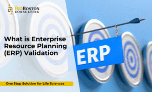 "Step-by-step ERP validation process for regulated industries"