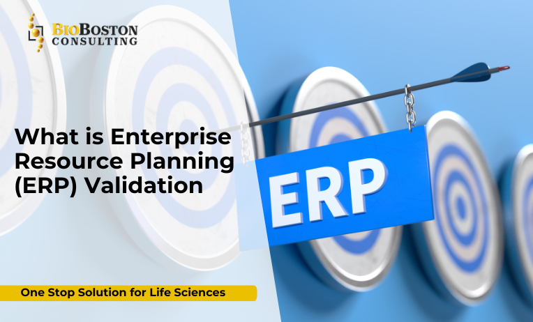 "Step-by-step ERP validation process for regulated industries"