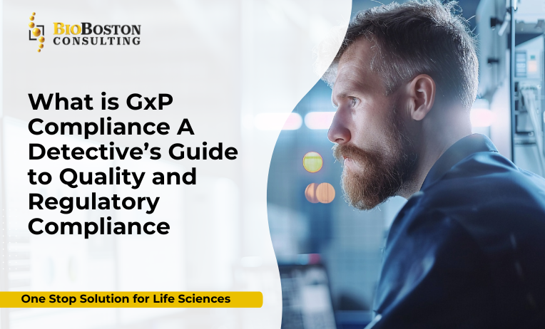 Life sciences quality assurance professional reviewing GMP compliance documentation