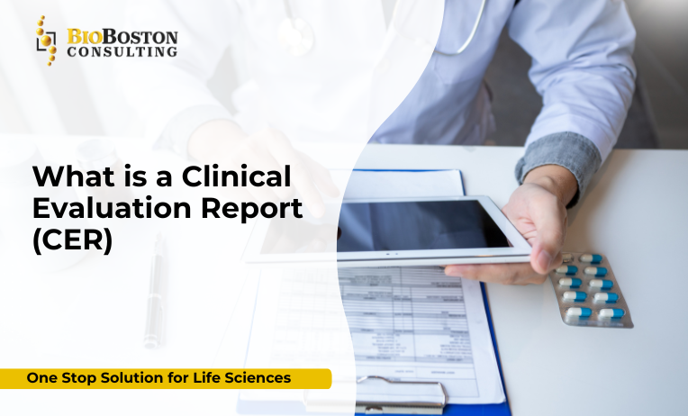 Regulatory consultant developing a Clinical Evaluation Report for EU MDR compliance