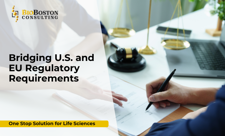 Navigating U.S. and EU Regulatory Pathways: BioBoston Consulting Bridges the Gap