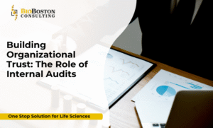 Internal audit process improving organizational trust