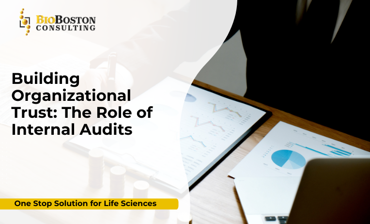Internal audit process improving organizational trust