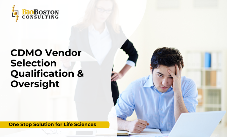 Vendor qualification audit for CDMO