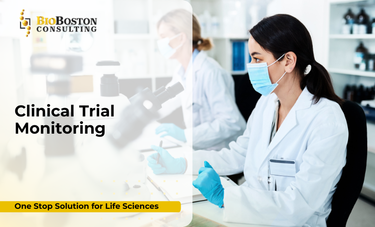 How BioBoston Consulting Delivers Monitoring Value