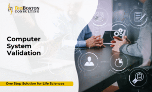 CSV lifecycle documentation for FDA audit readiness