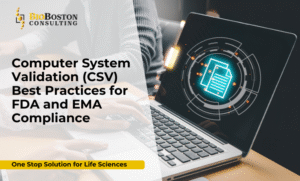 Life sciences professionals reviewing computer system validation documentation for FDA and EMA compliance
