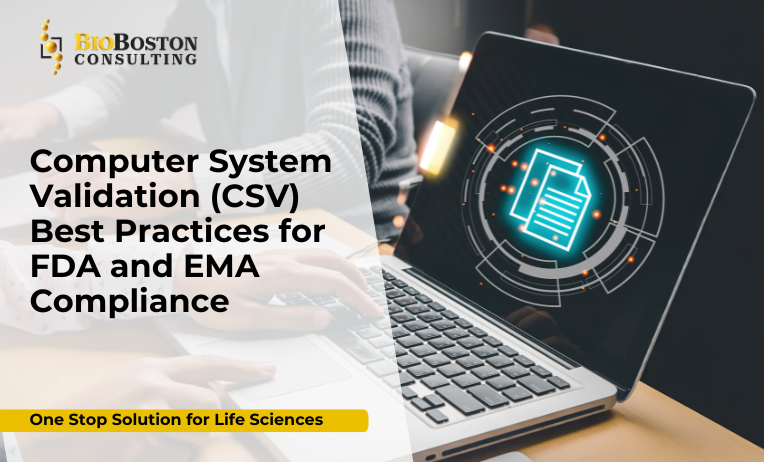 Life sciences professionals reviewing computer system validation documentation for FDA and EMA compliance