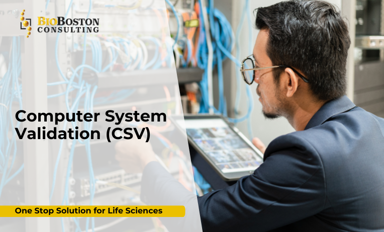 Life Sciences Computer System Validation Process