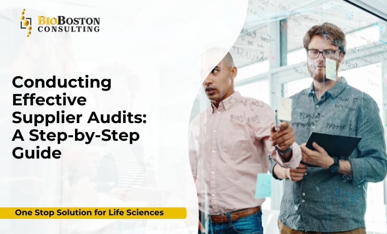 Supplier audit checklist in manufacturing facility