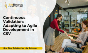Continuous validation process in Agile computer system validation