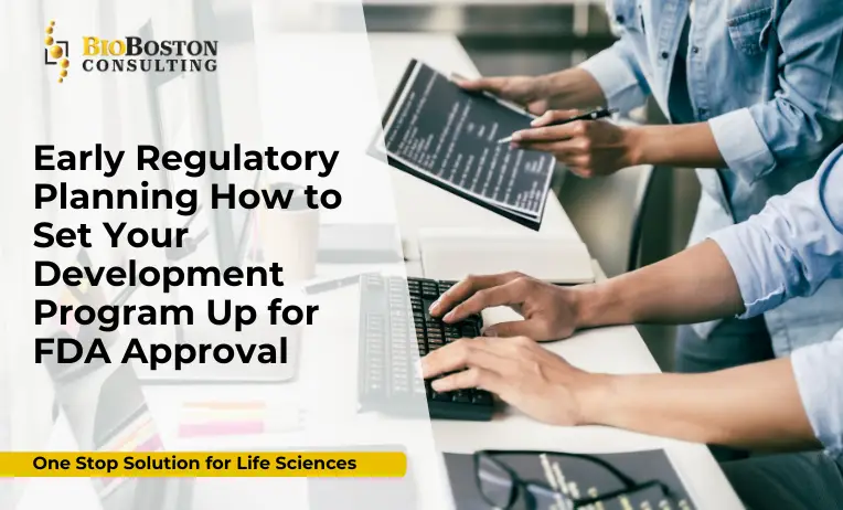 Early regulatory planning for FDA approval