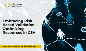 Risk-based validation process in computer system validation