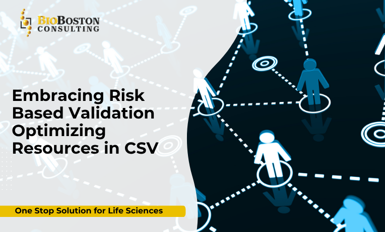 Risk-based validation process in computer system validation