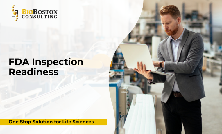 On-site inspection support
