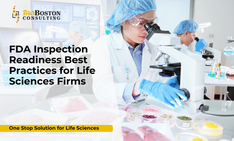 Life sciences team preparing for FDA inspection with QMS documentation
