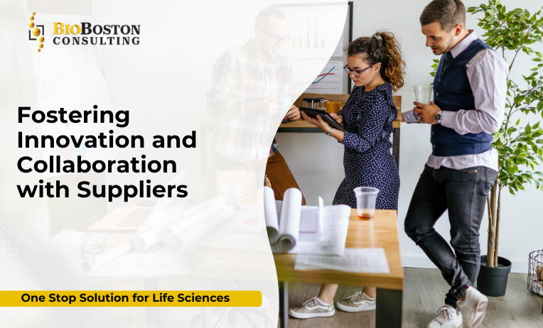 Supplier collaboration fostering innovation