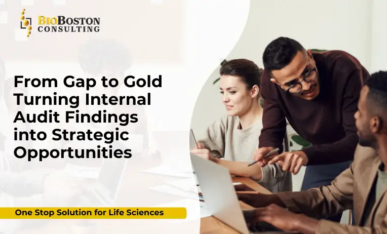From Gap to Gold: Transforming Internal Audit Findings into Strategic Value