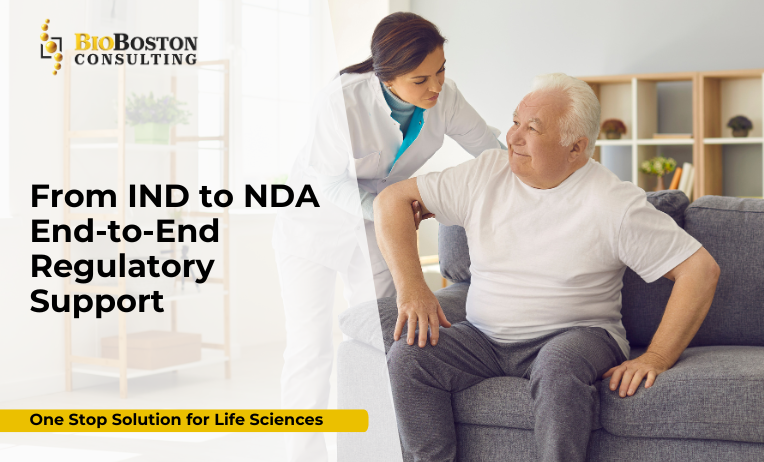 IND to NDA FDA submission process diagram